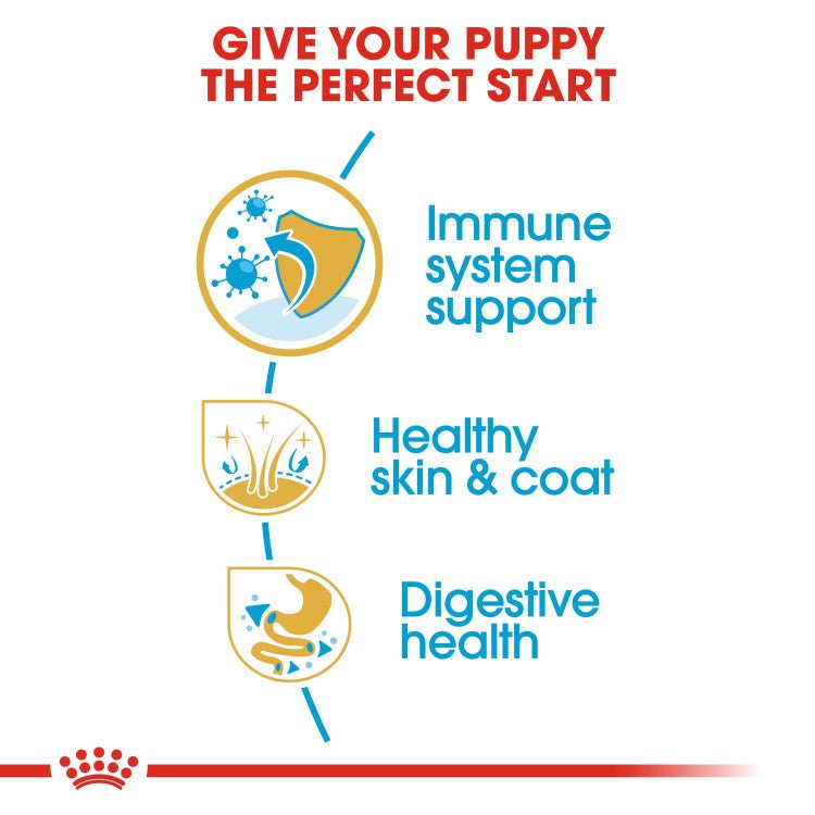 Breed Health Nutrition Golden Retriever Puppy 12 KG - Shopivet.com