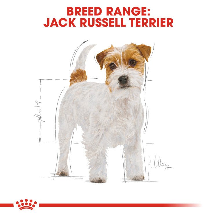 Breed Health Nutrition Jack Russell Adult 1.5 KG - Shopivet.com