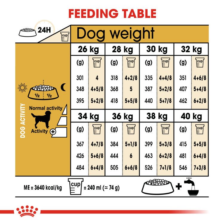 Labrador nutrition hotsell