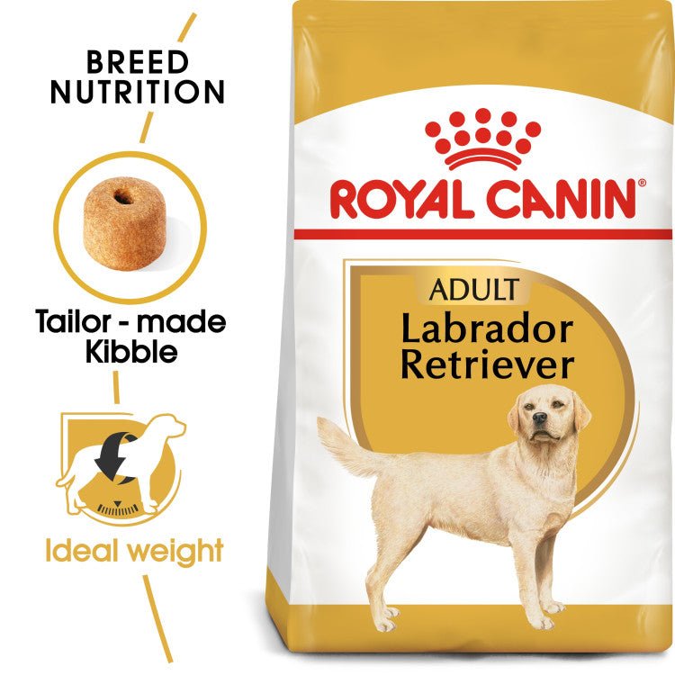 Breed Health Nutrition Labrador Adult 12 KG - Shopivet.com