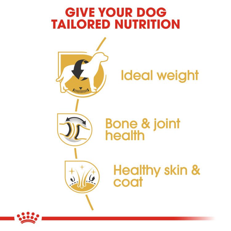 Breed Health Nutrition Labrador Adult 12 KG - Shopivet.com
