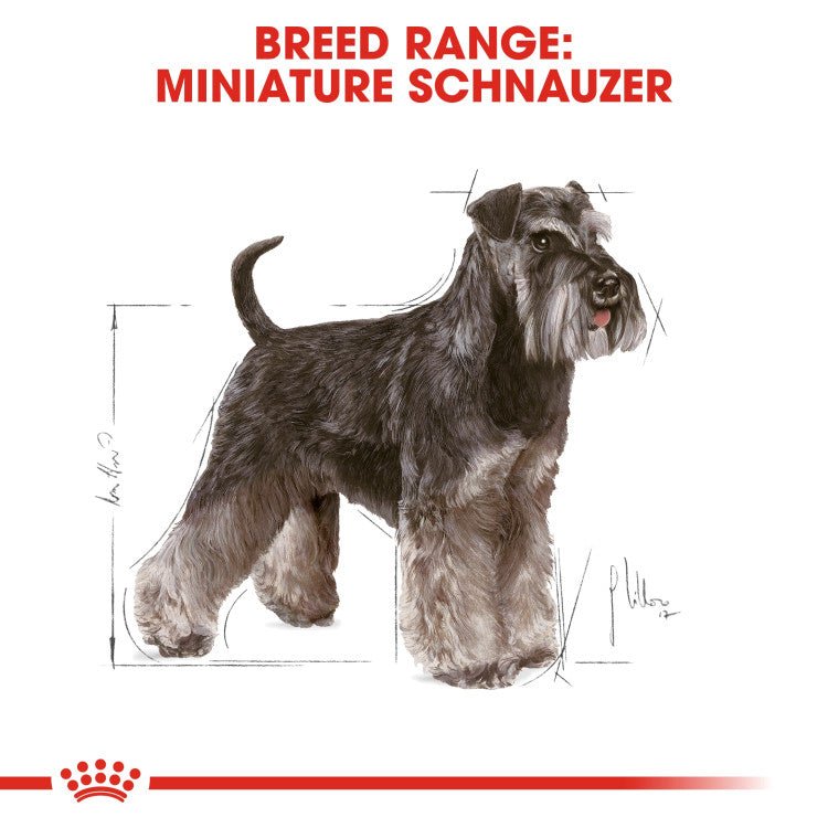 Breed Health Nutrition Miniature Schnauzer Adult 3 KG - Shopivet.com