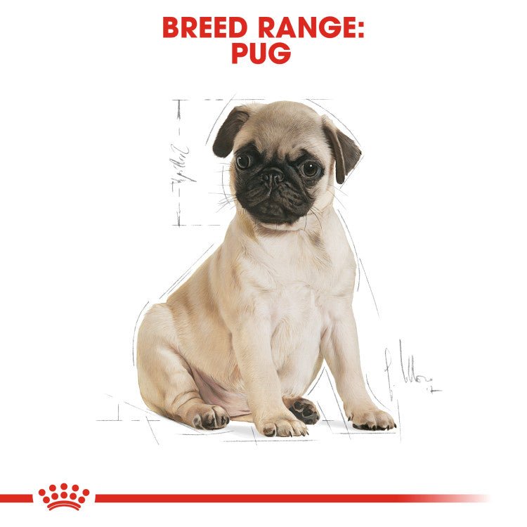 Breed Health Nutrition Pug Puppy 1.5 KG - Shopivet.com