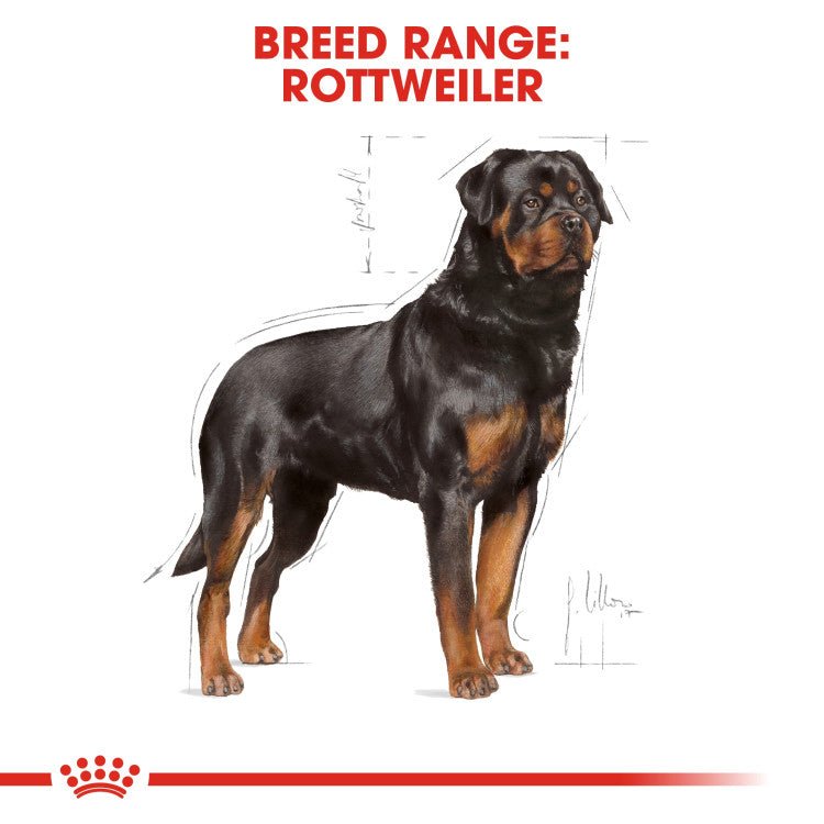 Breed Health Nutrition Rottweiler Adult 12 KG - Shopivet.com