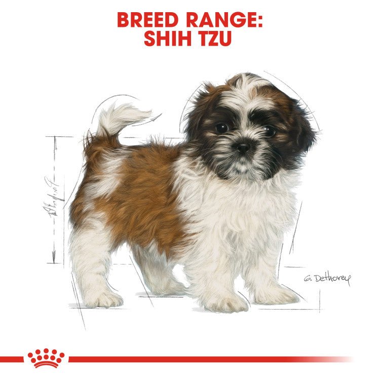 Breed Health Nutrition Shih Tzu Puppy 1.5 KG - Shopivet.com