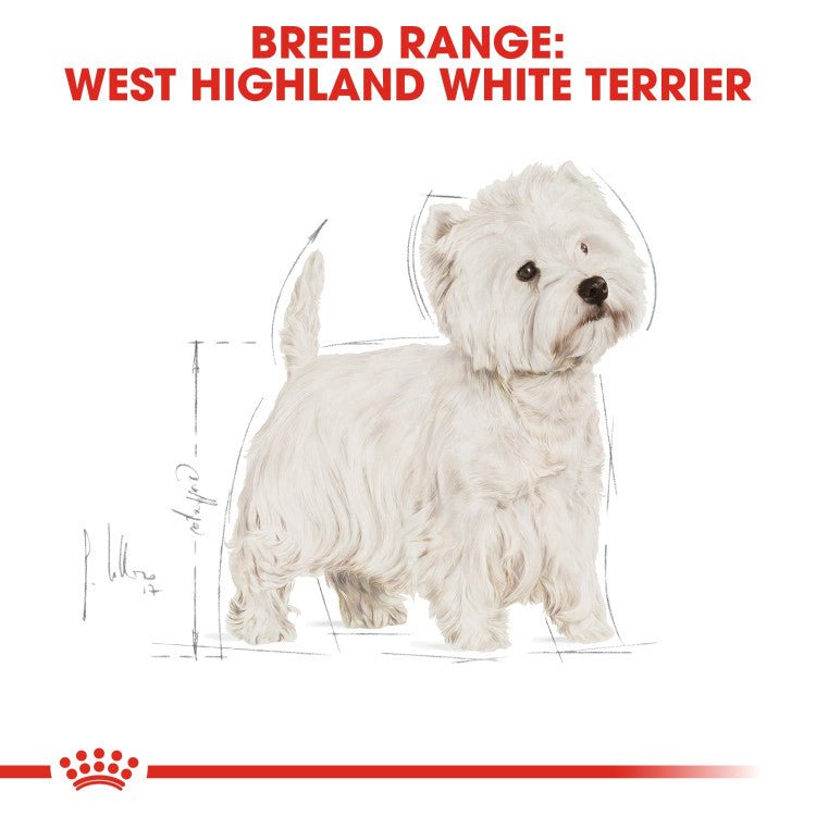 Breed Health Nutrition Westie Adult 3 KG - Shopivet.com