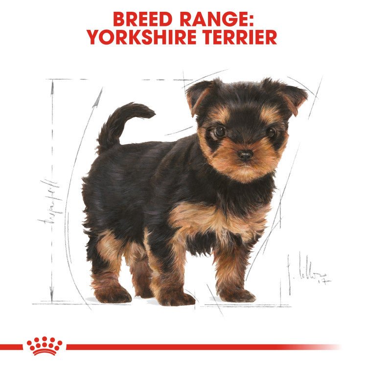 Breed Health Nutrition Yorkshire Puppy 1.5 KG - Shopivet.com