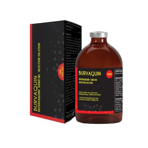 BURVAQUIN 50ml - Shopivet.com