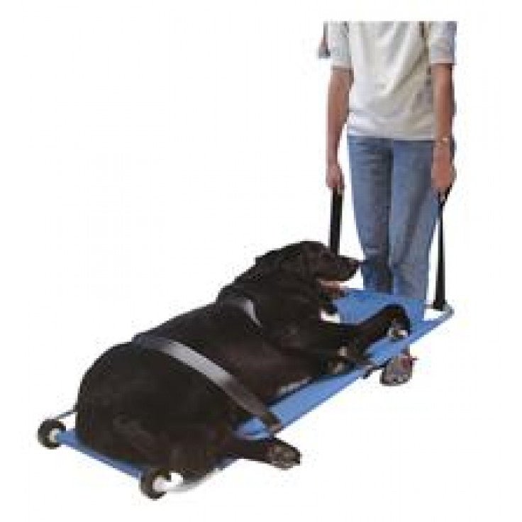 BUSTER ANIMAL STRETCHER 120 X 50CM نقالة حيوانات - Shopivet.com