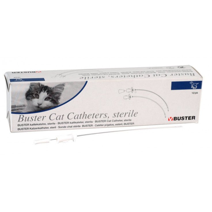 BUSTER CAT CATHETER WITH STYLET 1 X 130MM قسطرة بوستر - Shopivet.com