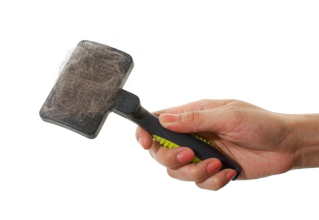 BUSTER SELF-CLEANING SLICKER SOFT PINS S - Shopivet.com