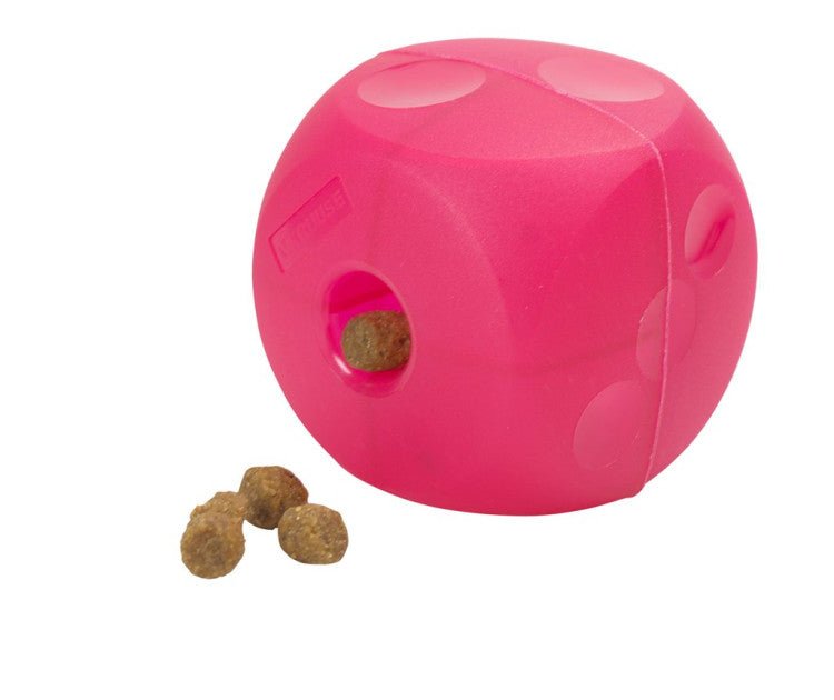 BUSTER SOFT MINI CUBE MAGENTA - Shopivet.com