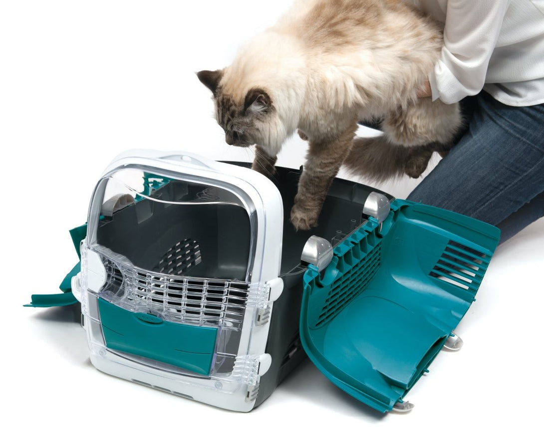 CABRIO CAT CARRIER SYSTEM - TURQUOISE - Shopivet.com