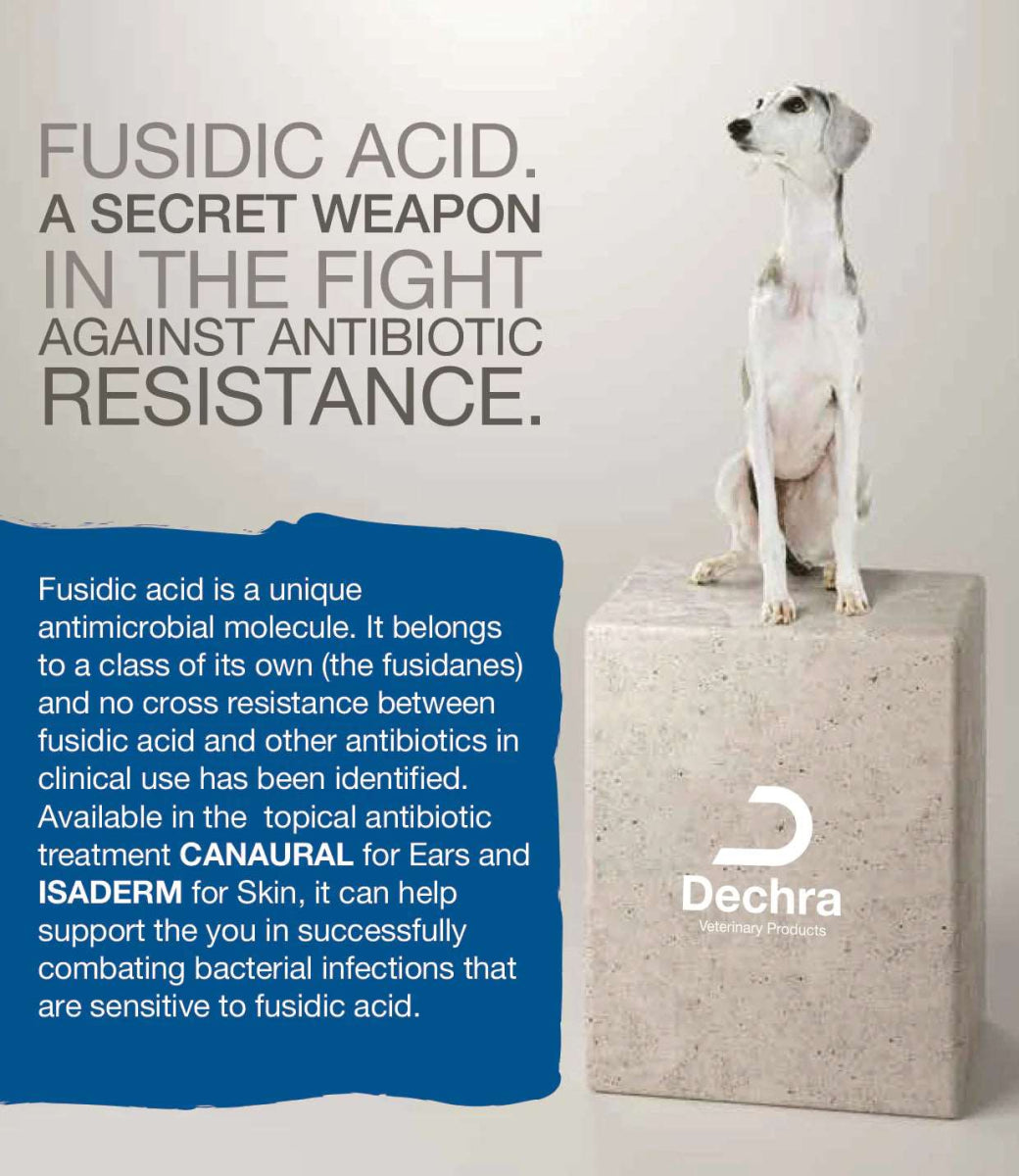 Canaural drops for 2024 dogs