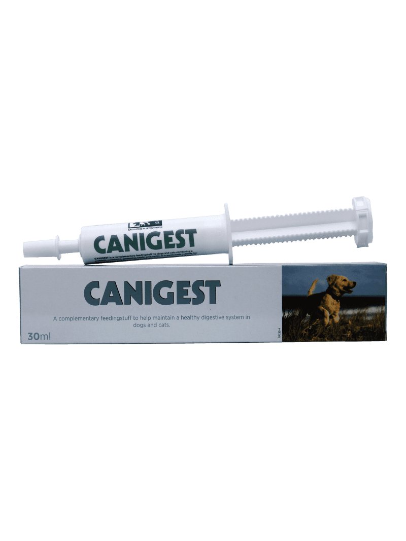 CANIGEST 30ml - Shopivet.com