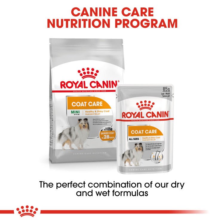 Canine Care Nutrition Coat Care (WET FOOD - Pouches) - Shopivet.com