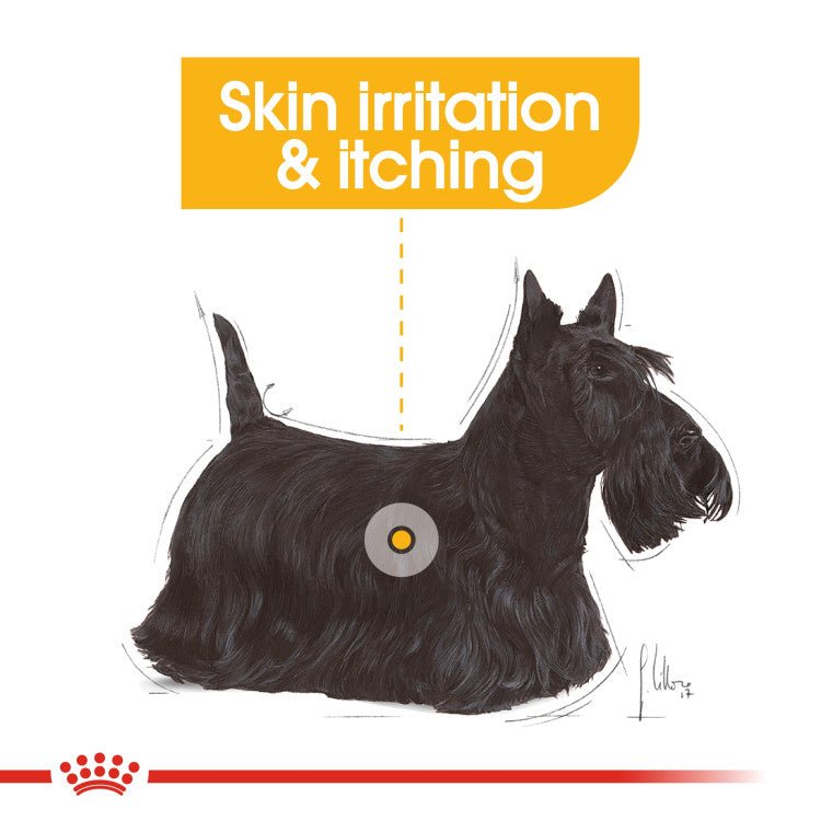 Canine Care Nutrition Dermacomfort (WET FOOD - Pouches) - Shopivet.com