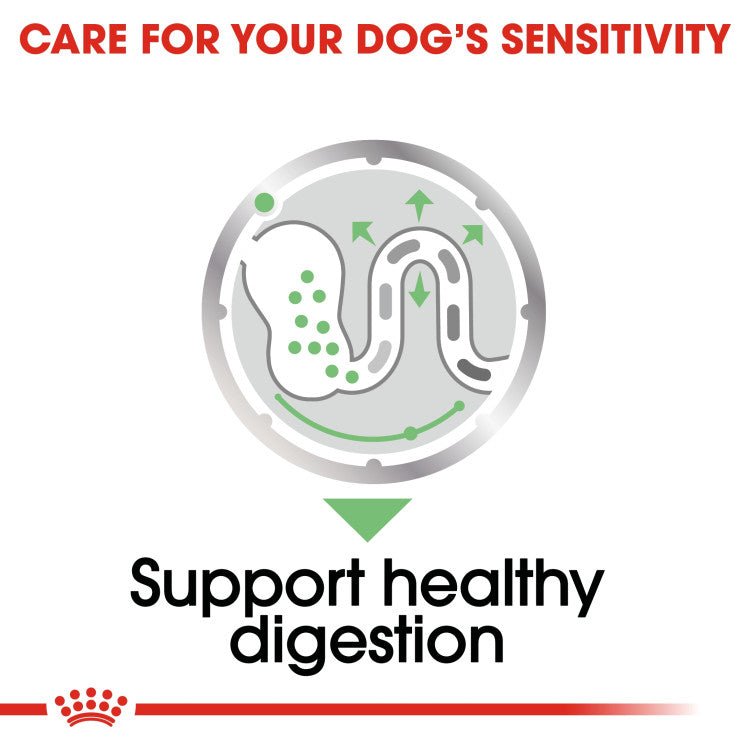 Canine Care Nutrition Digestive Care (WET FOOD - Pouches) - Shopivet.com