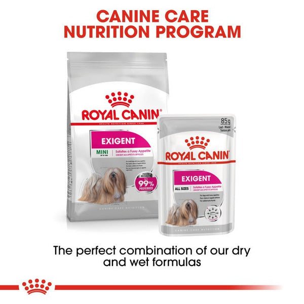 Canine Care Nutrition Exigent (WET FOOD- Pouches) - Shopivet.com