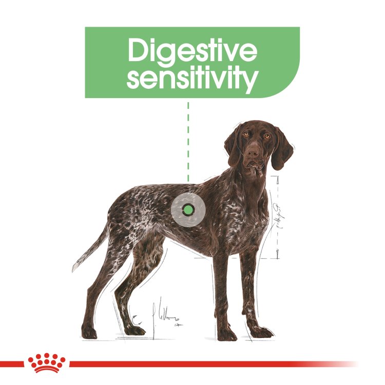 Canine Care Nutrition Maxi Digestive Care 12 KG - Shopivet.com