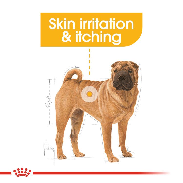 Canine Care Nutrition Medium Dermacomfort 3 KG - Shopivet.com