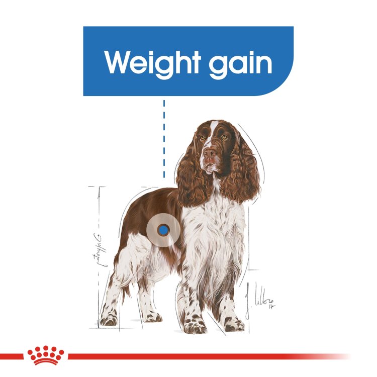 Canine Care Nutrition Medium Light Weight Care 12 KG - Shopivet.com