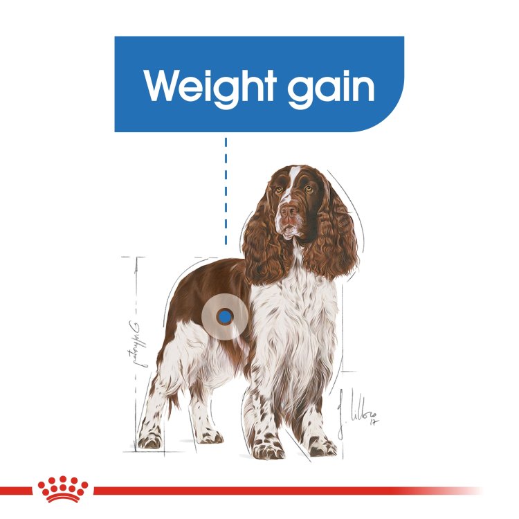 Canine Care Nutrition Medium Light Weight Care 3 KG - Shopivet.com