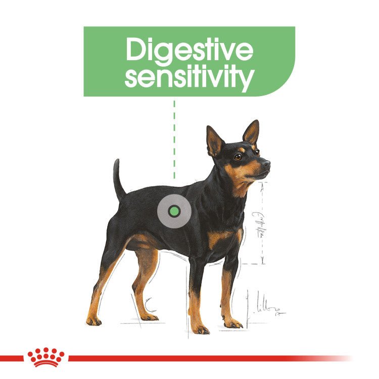Canine Care Nutrition Mini Digestive Care 3 KG - Shopivet.com
