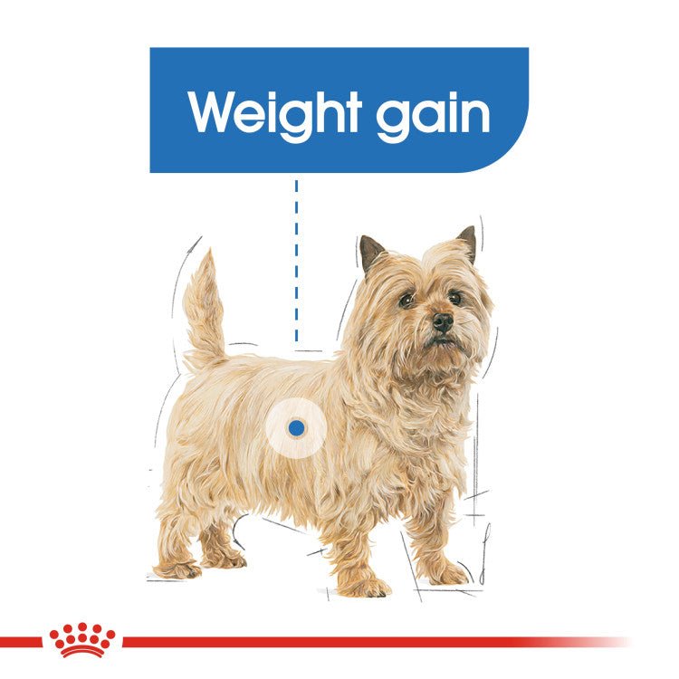 Canine Care Nutrition Mini Light Weight Care 3 KG - Shopivet.com
