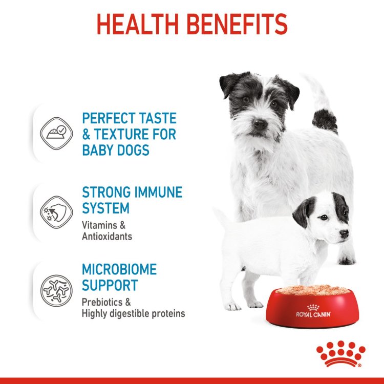 Canine Health Nutrition Starter Mousse (WET FOOD - Cans) - Shopivet.com