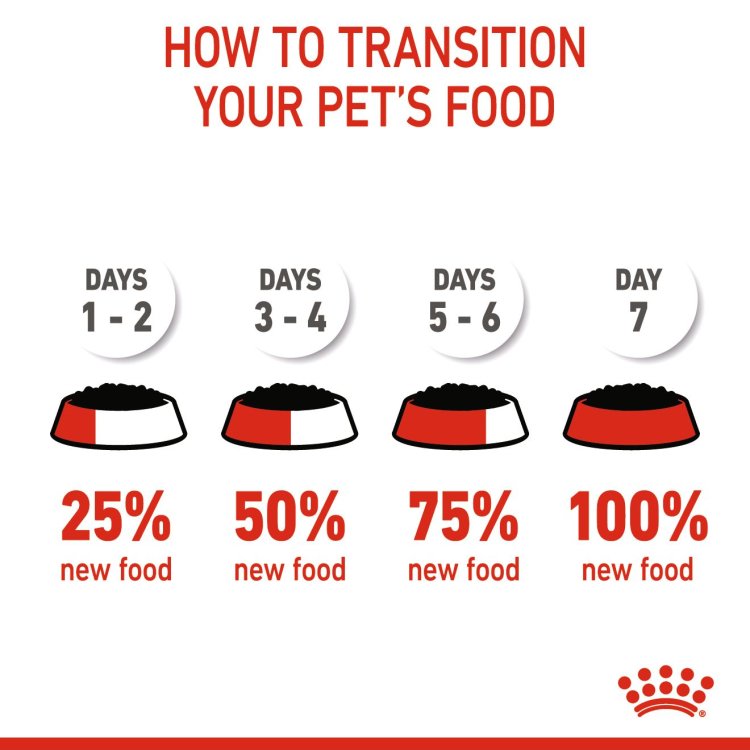 Canine Health Nutrition Starter Mousse (WET FOOD - Cans) - Shopivet.com