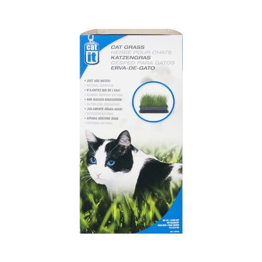 CATIT CAT GRASS - 75G - Shopivet.com