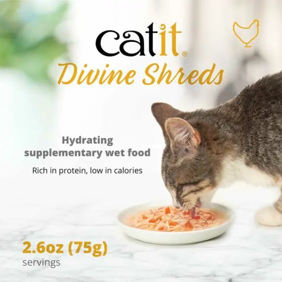 CATIT DIVINE SHREDS, CHICKEN WITH TUNA & CARROT, 75G, 18PCS/BOX - Shopivet.com