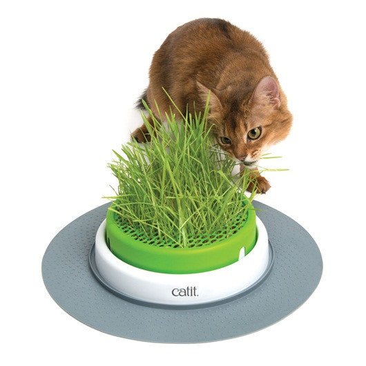 CATIT SENSES 2.0 GRASS PLANTER - Shopivet.com