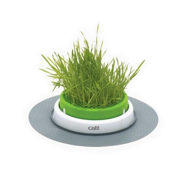 CATIT SENSES 2.0 GRASS PLANTER - Shopivet.com
