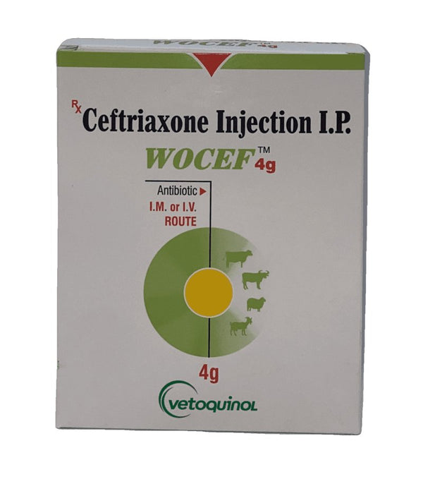 Ceftriaxone injection 4g - Shopivet.com