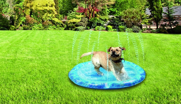 Chill Out - Sprinkler Fun Mat - Shopivet.com