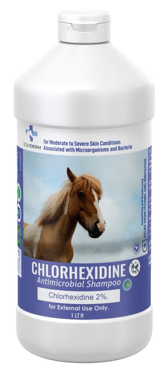 Chlorhexidine Antimicrobial Shampoo 1Liter - Shopivet.com