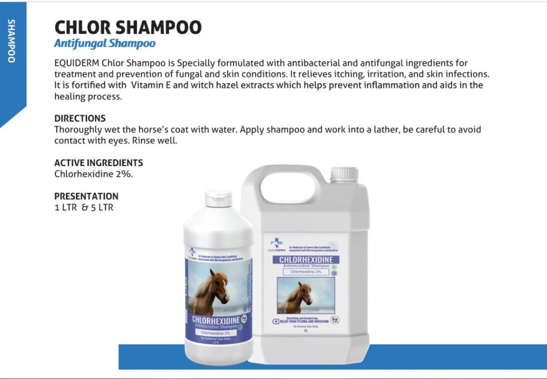 Chlorhexidine Antimicrobial Shampoo 5Liter - Shopivet.com