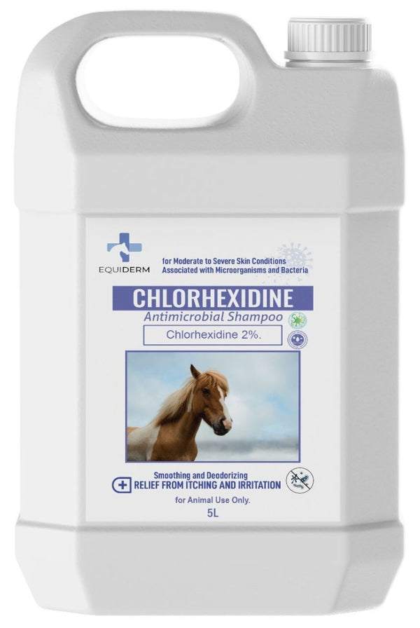 Chlorhexidine Antimicrobial Shampoo 5Liter - Shopivet.com