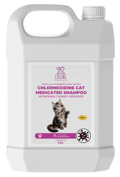 Chlorhexidine cat medicated shampoo 5Liter - Shopivet.com
