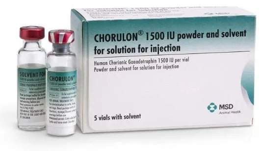 Chorulon 1500IU 1 Vial - Shopivet.com
