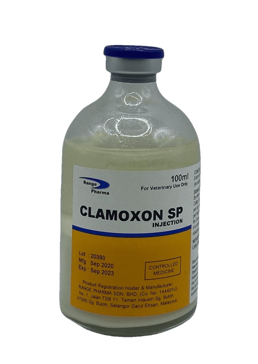 CLAMOXON SP injection 100 ml - Shopivet.com