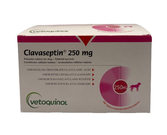 Clavaseptin 250mg 1 Box - Shopivet.com