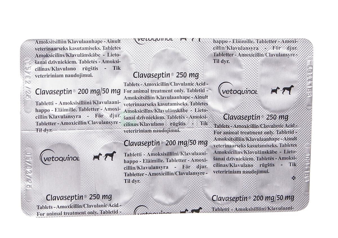 Clavaseptin 250mg 10 Tablets - Shopivet.com