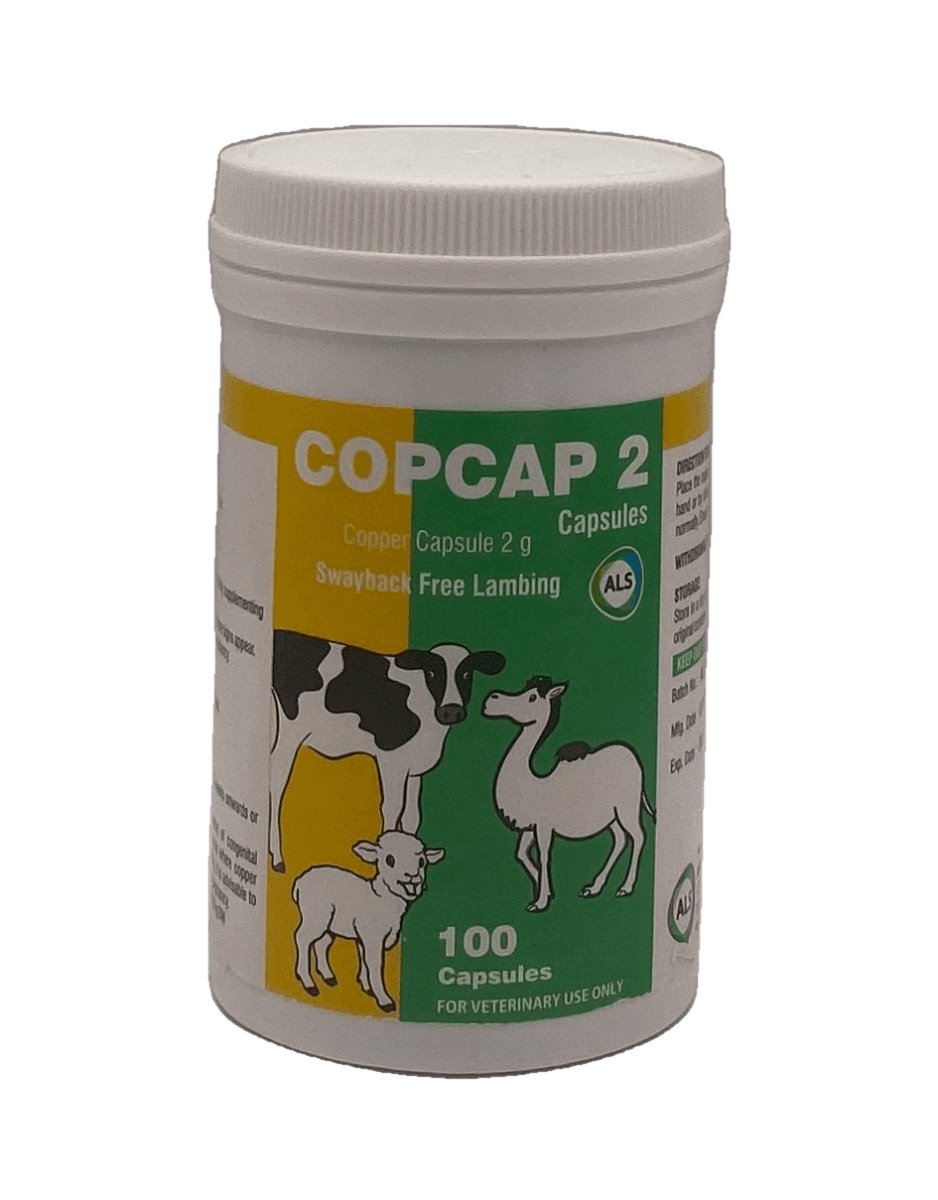 Copcap 2g 100 capsules - Shopivet.com