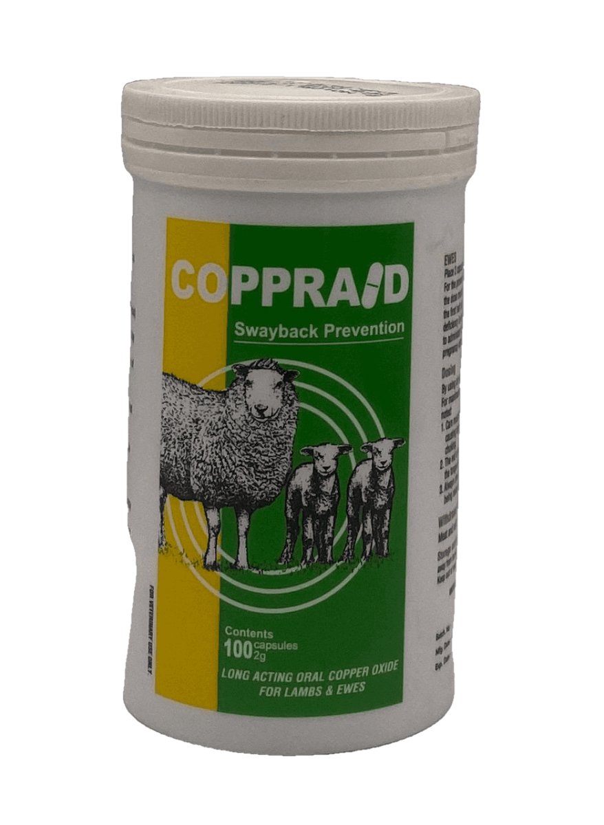 Coppraid 2 g 100 capsules - Shopivet.com