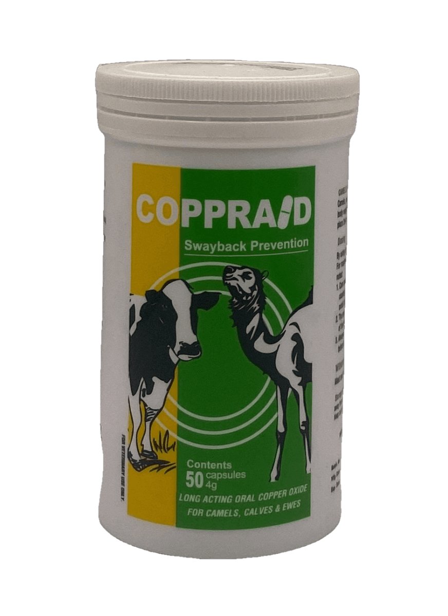 COPPRAID 4 g 50 capsules - Shopivet.com