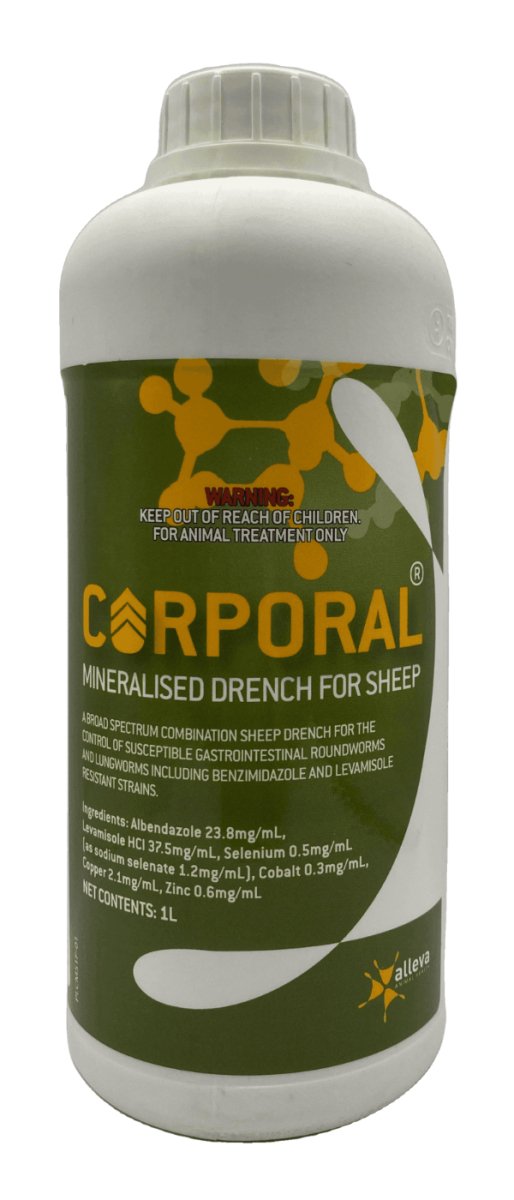 CORPORAL 1 liter - Shopivet.com