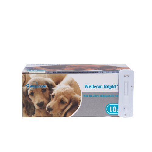 CPV-Ag 10 tests - Rapid test for Parvo in dogs - Shopivet.com